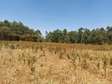 1 ac Land at Kitale Town