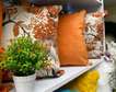 Patterned throw pillows.