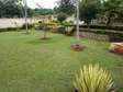 Professional Landscaping & Gardening services