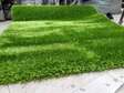 wonderful grass carpet,