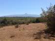 5 acres land for sale in narumoro , lusoi near tarmac