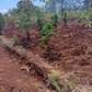 40X80ft PLOTS FOR SALE AT KENOL TOWN JUST BEHIND MAGUNAS