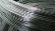 Galvanized high tensile wire 2.5mm 50kg