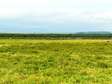 80 ac land for sale in Longonot