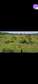 1/2 acre near Nakuru AIRPORT