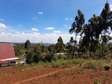 0.1 ha residential land for sale in Kikuyu Town