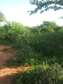 500 Acres For Sale in Mutha Region of Kitui County
