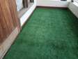 Elegant Grass carpet