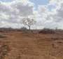 Affordable land for sale Malindi