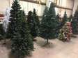 Decorated Christmas Trees for sale