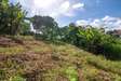 0.25 ac land for sale in Kahawa West