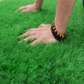 Grass carpets for sale
