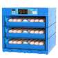 Eggs incubator