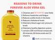 FOREVER ALOE VERA GEL