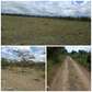 4 acres farm in Ndaragwa, Nyahururu at 1m per acre