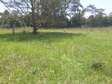 Residential Land at Karen Bogani