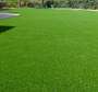 Quality grass carpets _3