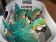 Young Macaw for Rehoming
