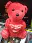 Teddy bear/valentine gift/fluffy teddy bear