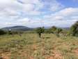 6 ac Land in Mombasa Road