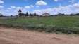 Olkalou  prime plots