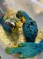 Young Blue and Gold Macaw parrots .