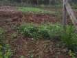 486 m² Residential Land in Ngong