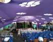 Purple cheese tent available for hire and sale