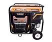SKYGO  12KW Petrol Engine Genset