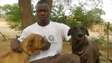 Top Dog Groomers Kenya | Best Pet Grooming Company In Kenya