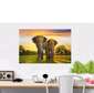 Elephants pair Nature Homewall mural