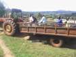 Massey Ferguson 265 with Jembe and trailer
