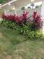 Landscaping Services provider
