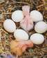 Military Macaw Parrot Eggs For Sale