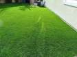 Wonderful grass carpet.