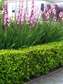 Bestcare Landscaping & Gardening Spring Valley,Westlands