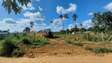 MSABAHA/GEDE PLOTS