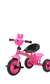 Tricycle Kids Bike MD1101