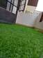 Best Green grass carpet