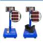 commercial 100kg electronic weighing platform scale