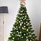 Imported Cyprus christmas tree