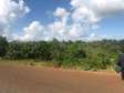 4 acres touching tarmac in Maragua Muranga