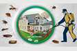 Pest Control and Exterminators