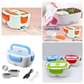 Electric lunch box