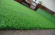 AVAILABLE GREEN GRASS CARPET