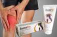 Sustafix Joint Pain Relief Cream-100Ml
