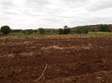 Close to 1,000 Acres For Lease in Mbeere South Kirinyaga