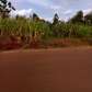 50*100ft plot for sale at Kabati Tosheka in Murang'a