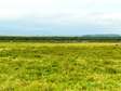 80 Acres Prime Land For Sale In Kedong Ranch - Naivasha
