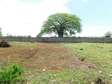 10000 ft² land for sale in Vipingo